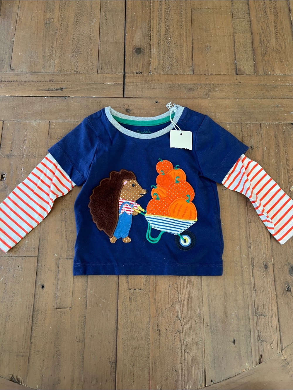 Baby Boden Long Sleeve Hedgehog Pumpkin Wheelbarrow Top 3-6 months new
